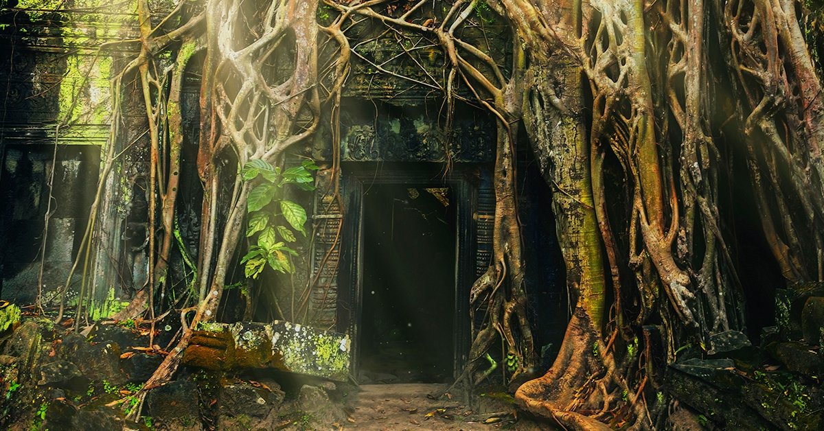 Amazonas szabadulószoba