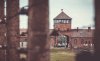 2 napos buszos utazás Auschwitzba és Krakkóba, 1 fő részére