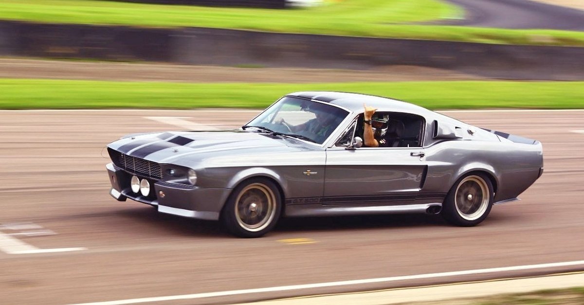 Mustang GT Eleanor vezetése
