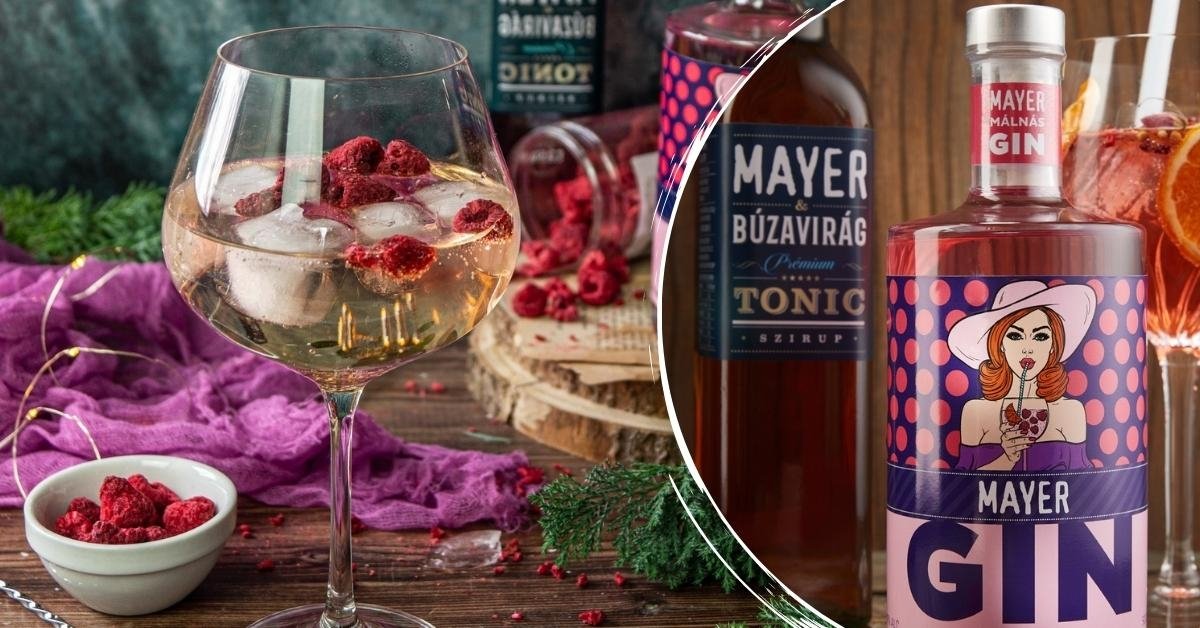 Mayer Gin-Tonic szett