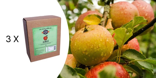3x5 liter 100%-os almalé, frissen préselt gyümölcsből