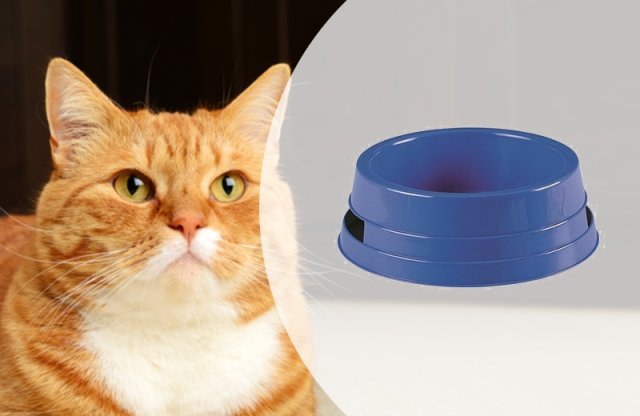 Kutya-macska etetőtál, 24x10 cm, kék