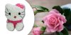 Rózsa cica, örök virág Hello Kitty figura - 42 cm